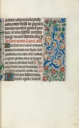 Libro d