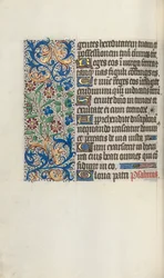Libro d