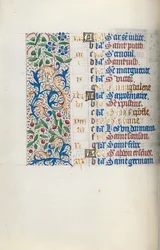 Libro d