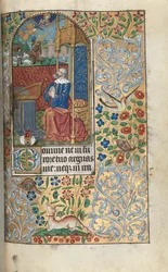 Libro d