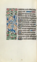 Libro d