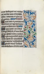 Libro d