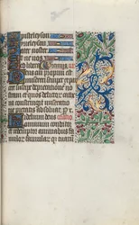 Libro d
