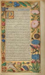 Pagina di testo decorata