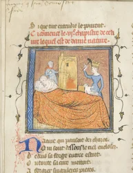 Miniatura da un manoscritto del Roman de la Rose di Guillaume de Lorris e Jean de Meun, ca 1365