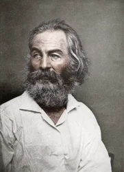 Walt Whitman, poeta americano, c. 1880