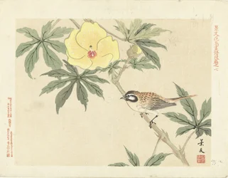 Uccello su ramo con fiore giallo