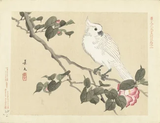 Cacatua bianco su ramo di camelia; Schizzi di fiori e uccelli di Keibun - Parte terza (titolo della serie); Keibun kachō gafu kōhen (titolo della serie sull
