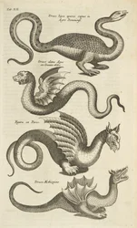 Tab XII, Creature mitiche, draghi, Illustrazione da 