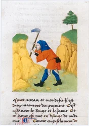Le Livre des simples medecines - traduzione in francese dal manoscritto latino del XII secolo di Matthaeus Platearius (pergamena)