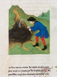 Le Livre des simples medecines - traduzione in francese dal manoscritto latino del XII secolo di Matthaeus Platearius (pergamena)