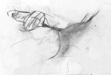 piega, 2007 (carboncino)