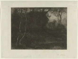Bosco con capretto