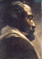 Testa di un uomo nero