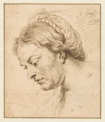 Testa di donna