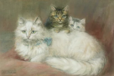 Un Gatto Persiano e i suoi Gattini