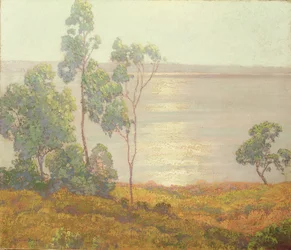 Il Sole del Mattino, San Diego