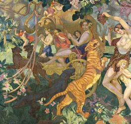 La baccanale del tigre reale