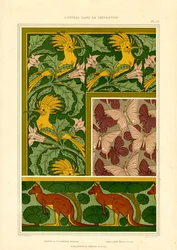 Motivi di animali esotici: cacatua, farfalle e canguri (litografia)