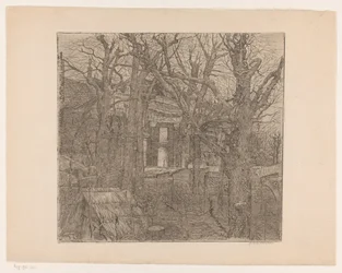 Bomen rond een huis