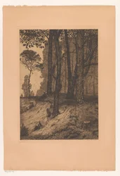 Bordo del bosco