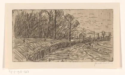 Paesaggio con strada, bordo del bosco e pali elettrici