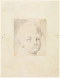 Studio: Testa di un ragazzo