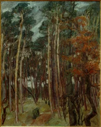 Foresta di Hermsdorf in un giorno grigio
