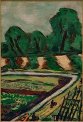 Pista ciclabile olandese