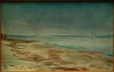 Spiaggia marina, marrone e grigia