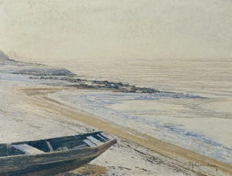 Basso Reno - ghiaccio alla deriva