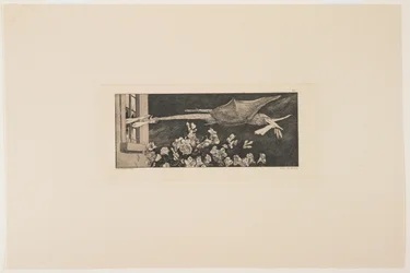 Rapimento, 1881