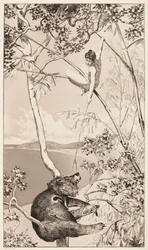 Orso e fata