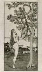 Il serpente