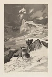 Centauri in lotta