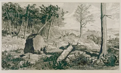 Paesaggio con alberi