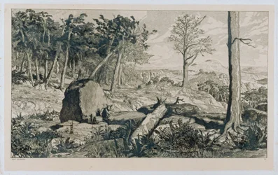Paesaggio di montagna