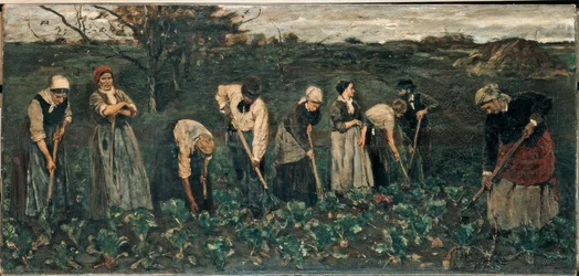 Lavoratori nel campo di barbabietole