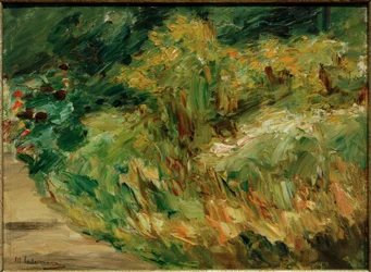 Piante perenni alla casetta del giardiniere verso nord-ovest – Studio