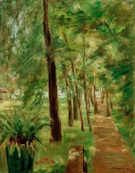 Il viale delle betulle nel giardino del Wannsee verso est