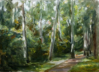 Il viale delle betulle nel giardino del Wannsee verso sud-ovest