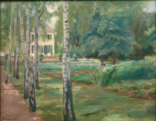 Il viale delle betulle nel giardino di Wannsee verso ovest