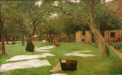 Il candeggio del prato