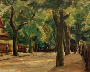 La grande strada del lago a Wannsee
