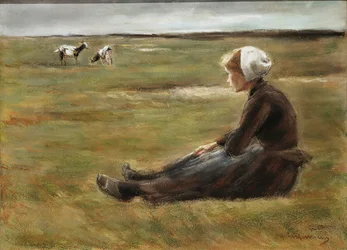 Nel campo