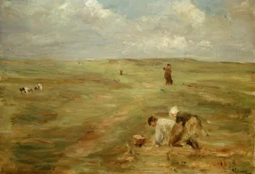 Scavatori di patate nelle dune di Zandvoort