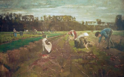 Raccolta di patate a Barbizon