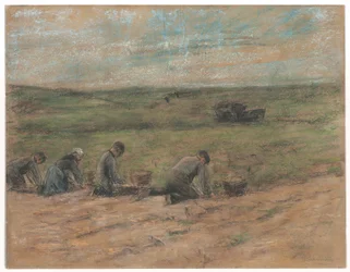 Scavatori di patate a Zandvoort