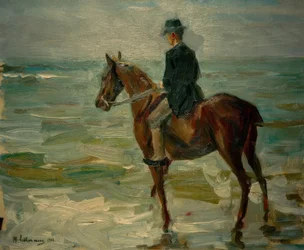 Cavaliere al mare verso sinistra