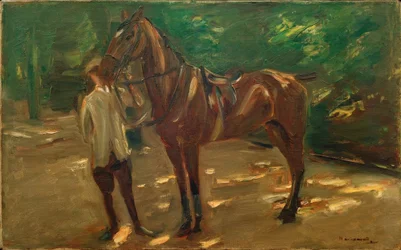Stalliere con cavallo